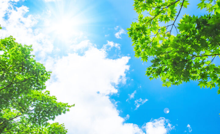 牛久市ひたち野のウイング眼科｜WEBサイト公開の画像